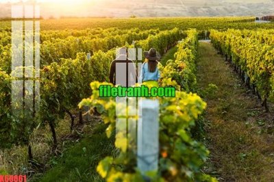 File PSD File gốc in tranh nền tường tổng hợp K69061 (bản gốc) chất lượng nhất