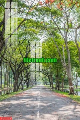 File tranh File gốc in tranh nền tường tổng hợp K69065 (gốc) in backlit film