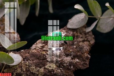 Chi tiết file ảnh File gốc in tranh nền tường tổng hợp K69083 sắc nét