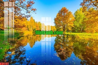 Ảnh gốc file in lụa File gốc in tranh nền tường tổng hợp K69137 chi tiết