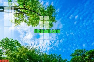 Tải về hình ảnh gốc File gốc in tranh nền tường tổng hợp K69184 sắc nét