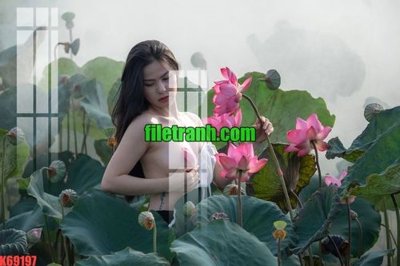 Tải về file gốc File gốc in tranh nền tường tổng hợp K69197 (chuẩn in ấn)