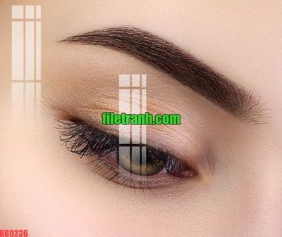 File gốc File gốc in tranh nền tường tổng hợp K69236 (PNG) nền trong suốt