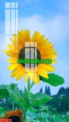 File in ấn File gốc in tranh nền tường tổng hợp K69332 (bản gốc) cao cấp