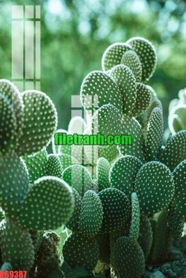 Mua file ảnh gốc File gốc in tranh nền tường tổng hợp K69387 (chất lượng cao)