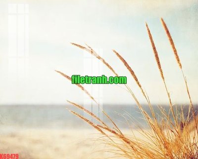 Ảnh gốc File gốc in tranh nền tường tổng hợp K69479 (nét căng) in mica