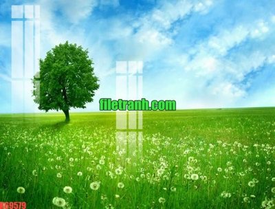 File tranh File gốc in tranh nền tường tổng hợp K69579 (bản gốc) in lụa 5D