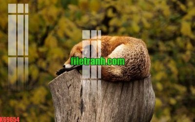 Download file gốc File gốc in tranh nền tường tổng hợp K69654 (in lụa) cao cấp