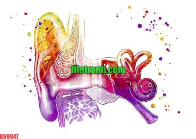 File gốc File gốc in tranh nền tường tổng hợp K69947 (in tráng gương) ốp tường