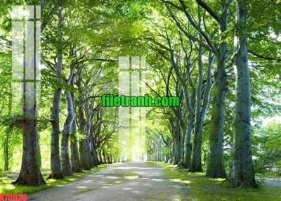 File in ấn File gốc in tranh nền tường tổng hợp K70036 (bản gốc) từ file gốc