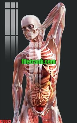 Download file File gốc in tranh nền tường tổng hợp K70072 (gốc) in mica ốp bếp