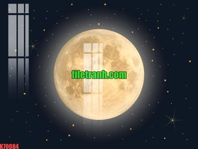 File in trần File gốc in tranh nền tường tổng hợp K70084 (bản gốc) hoa văn