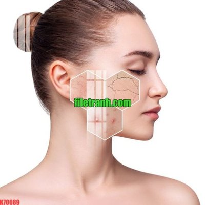 File tranh File gốc in tranh nền tường tổng hợp K70089 (bản gốc) in lụa 5D