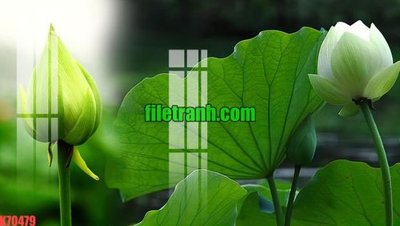 File gốc File gốc in tranh nền tường tổng hợp K70479 (Filetranh.com) File gốc in tranh nền tường tổng hợp K70479