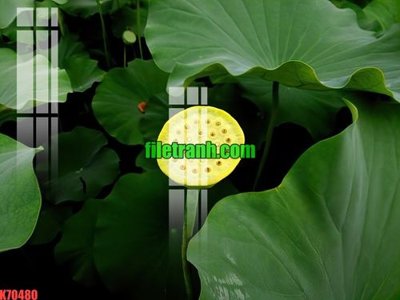 File gốc File gốc in tranh nền tường tổng hợp K70480 cho in ấn và thiết kế