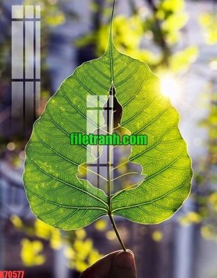 File gốc File gốc in tranh nền tường tổng hợp K70577 (phong cách) châu Âu