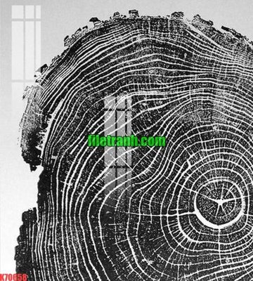 File gốc File gốc in tranh nền tường tổng hợp K70658 (in 3D) nghệ thuật