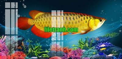 File tranh File gốc in tranh nền tường tổng hợp K70712 (bản gốc) in lụa 3D