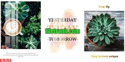 File gốc File gốc in tranh nền tường tổng hợp K70769 (bản quyền) cho in ấn