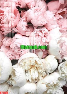 File gốc File gốc in tranh nền tường tổng hợp K71188 (PNG) chất lượng cao