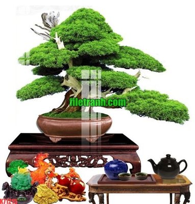 File tranh File gốc in tranh nền tường tổng hợp K71215 (gốc) in backlit film