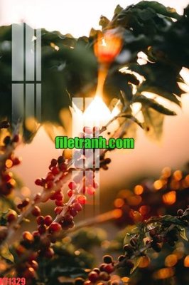 File tranh File gốc in tranh nền tường tổng hợp K71329 (bản gốc) in lụa 3D