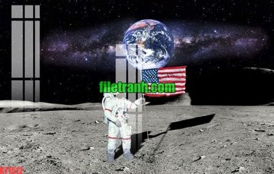 File tranh File gốc in tranh nền tường tổng hợp K71512 (gốc) in film