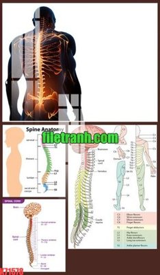 Download file File gốc in tranh nền tường tổng hợp K71578 (gốc) in mica cao cấp