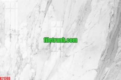 File PSD File gốc in tranh nền tường tổng hợp K71749 (gốc) cho in quảng cáo