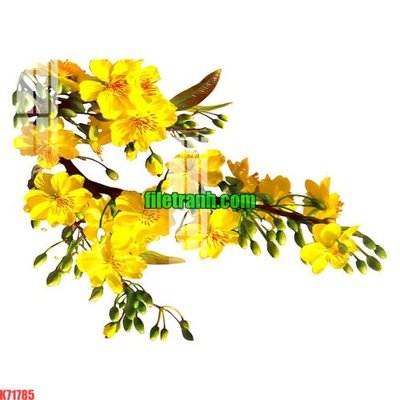 File ảnh File gốc in tranh nền tường tổng hợp K71785 (gốc) dùng in Pano