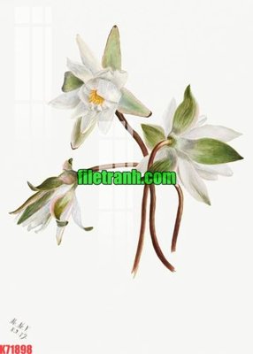 Download file gốc File gốc in tranh nền tường tổng hợp K71898 (dùng cho in ấn)