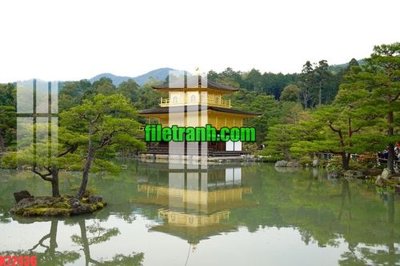 File tranh gốc File gốc in tranh nền tường tổng hợp K72436 (bản quyền) file PSD