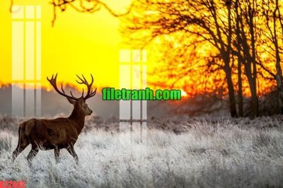 File tranh File gốc in tranh nền tường tổng hợp K72442 (bản gốc) treo phòng ăn