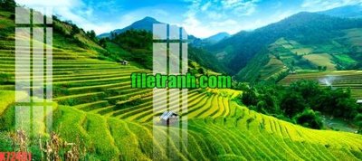 Tải file gốc in lụa File gốc in tranh nền tường tổng hợp K72451 siêu nét