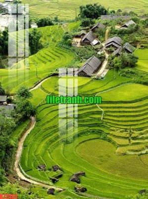 File in trần File gốc in tranh nền tường tổng hợp K72461 (bản gốc) phong cảnh