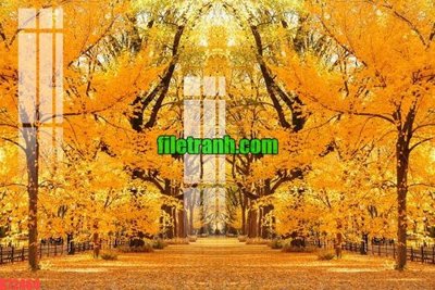 File gốc File gốc in tranh nền tường tổng hợp K72464 (in tráng gương) ốp tường