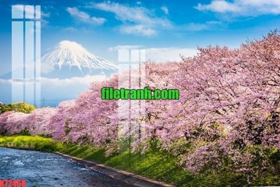 File tranh File gốc in tranh nền tường tổng hợp K72468 (gốc) chủ đề thiên nhiên