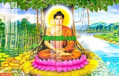 File tranh File gốc in tranh nền tường tổng hợp K72534 (gốc) in backlit film