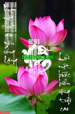 File gốc in tráng gương File gốc in tranh nền tường tổng hợp K72597 chi tiết