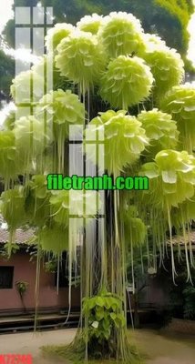 File ảnh File gốc in tranh nền tường tổng hợp K72748 (gốc) cho trang trí nhà hàng