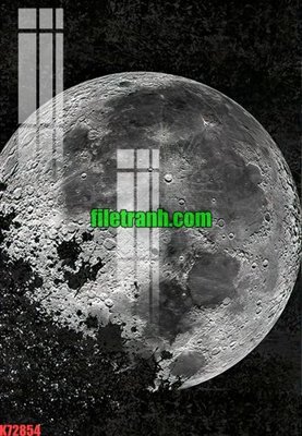 File tranh File gốc in tranh nền tường tổng hợp K72854 (bản gốc) in lụa 3D