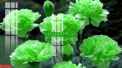 File tranh File gốc in tranh nền tường tổng hợp K72954 (bản gốc) trang trí văn phòng