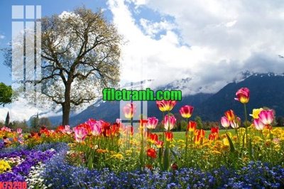 File tranh File gốc in tranh nền tường tổng hợp K73290 (gốc) phong cách tối giản