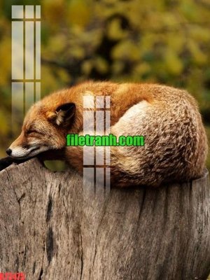 File in lụa File gốc in tranh nền tường tổng hợp K73475 (hoa văn) File gốc in tranh nền tường tổng hợp K73475