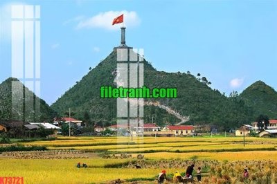 File in trần File gốc in tranh nền tường tổng hợp K73721 (bản gốc) trời sao