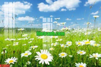 Mua file tranh gốc File gốc in tranh nền tường tổng hợp K73809 tại Filetranh.com