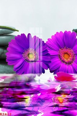 Tải file File gốc in tranh tổng hợp K7412 (gốc) chủ đề hoa sen