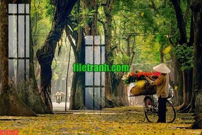 Tải file File gốc in tranh nền tường tổng hợp K74543 (gốc) làm tranh treo tường