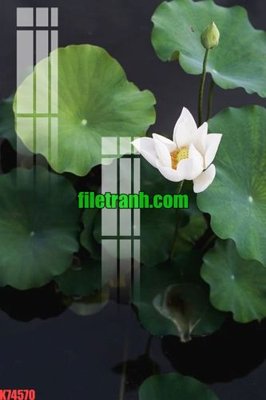 Tải file File gốc in tranh nền tường tổng hợp K74570 (gốc) làm file tranh quảng cáo