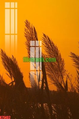 File tranh File gốc in tranh nền tường tổng hợp K75102 (gốc) in backlit film